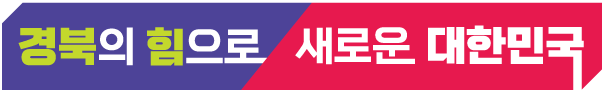 도정슬로건(가로형) : 경북의 힘으로! 새로운 대한민국