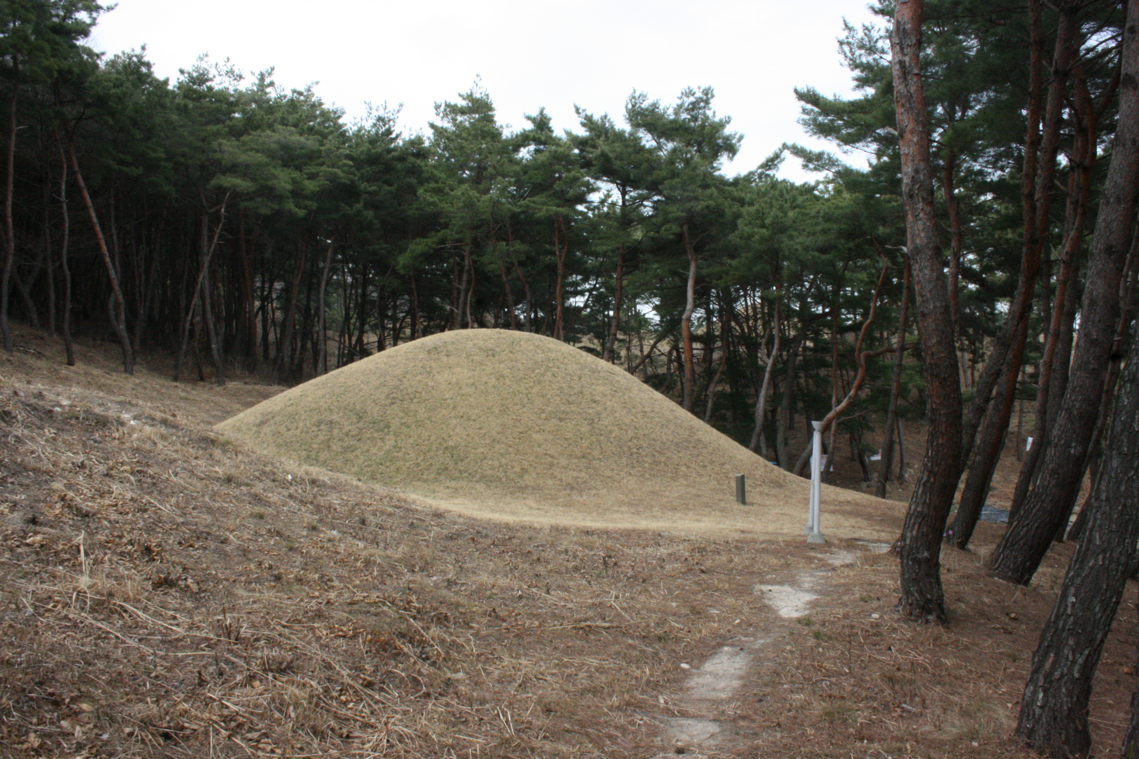 경주 문성왕릉_1