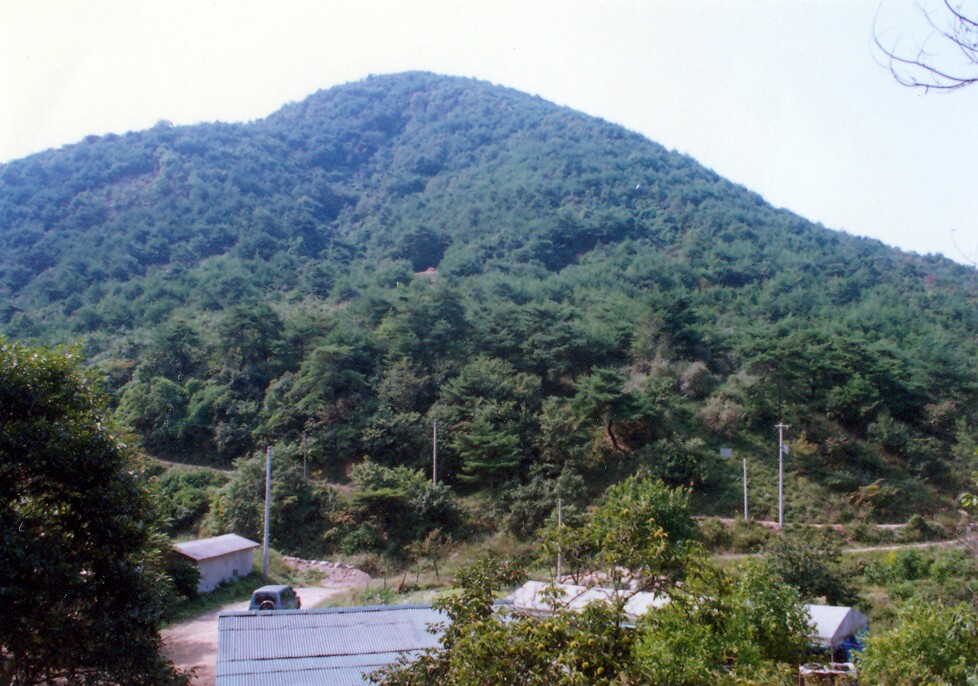 경산 산전동 분청사기 요지_3